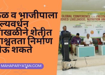 फळ व भाजीपाला मूल्यवर्धन साखळीने शेतीत शाश्वतता निर्माण होऊ शकते