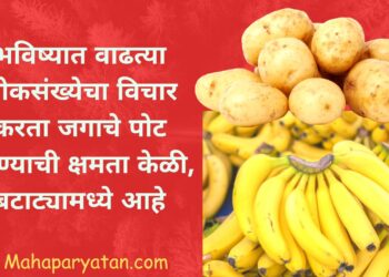 भविष्यात वाढत्या लोकसंख्येचा विचार करता जगाचे पोट भरण्याची क्षमता केळी, बटाट्यामध्ये आहे