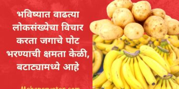भविष्यात वाढत्या लोकसंख्येचा विचार करता जगाचे पोट भरण्याची क्षमता केळी, बटाट्यामध्ये आहे