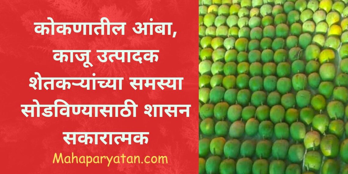 कोकणातील आंबा, काजू उत्पादक शेतकऱ्यांच्या समस्या सोडविण्यासाठी शासन सकारात्मक