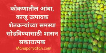 कोकणातील आंबा, काजू उत्पादक शेतकऱ्यांच्या समस्या सोडविण्यासाठी शासन सकारात्मक