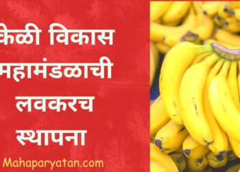केळी विकास महामंडळाची लवकरच स्थापना