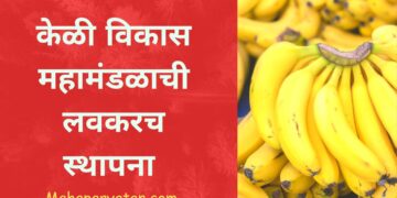 केळी विकास महामंडळाची लवकरच स्थापना