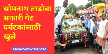 सोमनाथ ताडोबा सफारी गेट पर्यटकांसाठी खुले