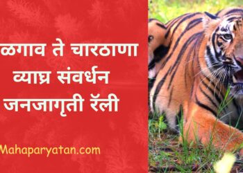 जळगाव ते चारठाणा व्याघ्र संवर्धन जनजागृती रॅली