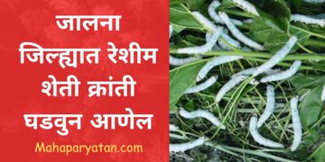 जालना जिल्ह्यात रेशीम शेती क्रांती घडवुन आणेल