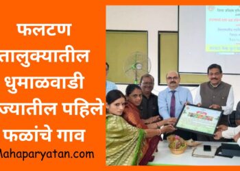 फलटण तालुक्यातील धुमाळवाडी राज्यातील पहिले फळांचे गाव