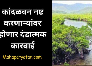 कांदळवन नष्ट करणाऱ्यांवर होणार दंडात्मक कारवाई