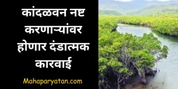 कांदळवन नष्ट करणाऱ्यांवर होणार दंडात्मक कारवाई