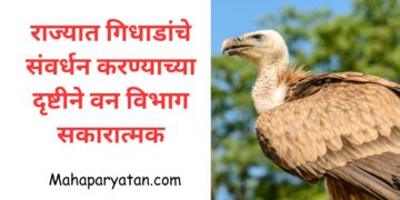 राज्यात गिधाडांची संख्या वाढण्याच्या दृष्टीने वन विभाग सकारात्मक