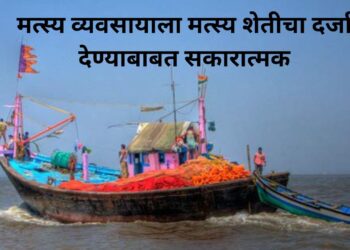 मत्स्य व्यवसायाला मत्स्य शेतीचा दर्जा देण्याबाबत सकारात्मक