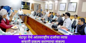 चंद्रपूर येथे आंतरराष्ट्रीय दर्जाचा व्याघ्र सफारी प्रकल्प करण्याचा संकल्प