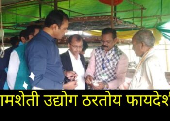 रेशमशेती उद्योग ठरतोय फायदेशीर