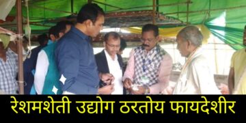 रेशमशेती उद्योग ठरतोय फायदेशीर