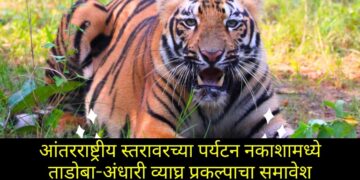 आंतरराष्ट्रीय स्तरावरच्या पर्यटन नकाशामध्ये ताडोबा-अंधारी व्याघ्र प्रकल्पाचा समावेश