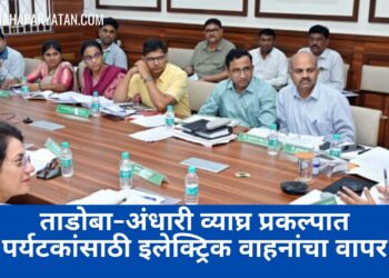 ताडोबा-अंधारी व्याघ्र प्रकल्पात पर्यटकांसाठी इलेक्ट्रिक वाहनांचा वापर