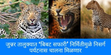 जुन्नर तालुक्यात ‘बिबट सफारी’ निर्मितीमुळे निसर्ग पर्यटनास चालना मिळणार