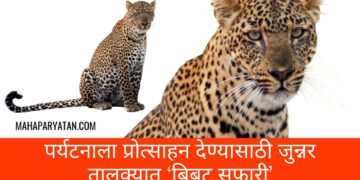 पर्यटनाला प्रोत्साहन देण्यासाठी जुन्नर तालुक्यात ‘बिबट सफारी’