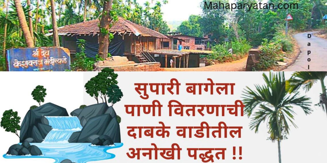 सुपारी बागेला पाणी वितरणाची दाबके वाडीतील अनोखी पद्धत !!
