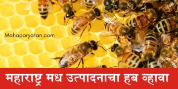 महाराष्ट्र मध उत्पादनाचा हब व्हावा…..