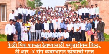 केळी पिक शाश्वत ठेवण्यासाठी फ्युजारीयम विल्ट, टी आर -४ रोग व्यवस्थापन काळाची गरज