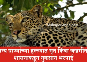 वन्य प्राण्यांच्या हल्ल्यात मृत किंवा जखमींना शासनाकडून नुकसान भरपाई