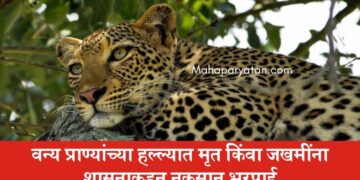 वन्य प्राण्यांच्या हल्ल्यात मृत किंवा जखमींना शासनाकडून नुकसान भरपाई