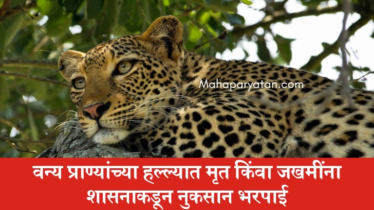 वन्य प्राण्यांच्या हल्ल्यात मृत किंवा जखमींना शासनाकडून नुकसान भरपाई