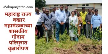 महाराष्ट्र राज्य वखार महामंडळाच्या शासकीय गोदाम परिसरात वृक्षारोपण