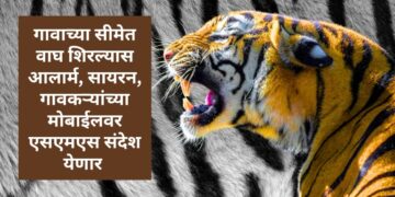 जंगल क्षेत्रात व शेजारील गावात वाघांचे हल्ले रोखण्यासाठी वाघांच्या स्थलांतरासह एआयचा होणार वापर