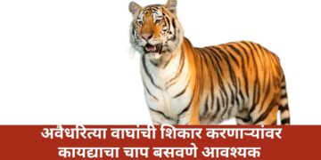 वाघांची शिकार रोखण्यासाठी विशेष पथके गठीत करा- वनमंत्री गणेश नाईक