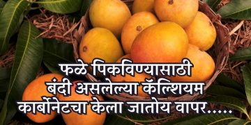 आंबा बाजारातील ग्राहकांची फसवणूक