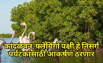 कांदळवन, फ्लेमिंगो पक्षी हे निसर्ग पर्यटकांसाठी आकर्षण ठरणार