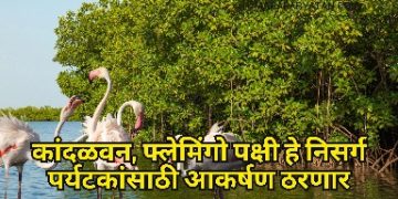 कांदळवन, फ्लेमिंगो पक्षी हे निसर्ग पर्यटकांसाठी आकर्षण ठरणार