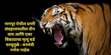 नागपूर येथील प्राणी संग्रहालयातील तीन वाघ आणि एका बिबट्याचा मृत्यू बर्ड फ्ल्यूमुळे – वनमंत्री गणेश नाईक