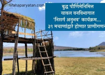 बुद्ध पौर्णिमेनिमित्त यावल वनविभागात ‘निसर्ग अनुभव’ कार्यक्रम… ३९ मचाणांद्वारे होणार प्राणीगणना
