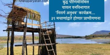 बुद्ध पौर्णिमेनिमित्त यावल वनविभागात ‘निसर्ग अनुभव’ कार्यक्रम… ३९ मचाणांद्वारे होणार प्राणीगणना