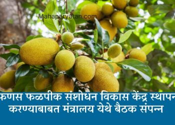 फणस फळपीक संशोधन विकास केंद्र स्थापन करण्याबाबत मंत्रालय येथे बैठक संपन्न