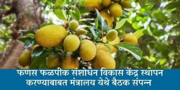 फणस फळपीक संशोधन विकास केंद्र स्थापन करण्याबाबत मंत्रालय येथे बैठक संपन्न