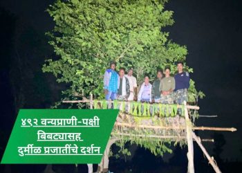 यावल वनविभागात ‘निसर्ग अनुभव’ आणि वन्यप्राणी प्रगणना उत्साहात
