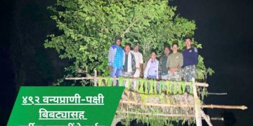 यावल वनविभागात ‘निसर्ग अनुभव’ आणि वन्यप्राणी प्रगणना  उत्साहात