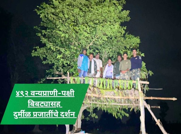 यावल वनविभागात ‘निसर्ग अनुभव’ आणि वन्यप्राणी प्रगणना उत्साहात