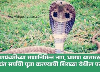 शिराळा नागपंचमी संदर्भात केंद्रीय वन मंत्र्यांसोबत बैठक – वनमंत्री गणेश नाईक