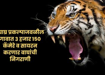 गावात वाघ शिरताच वाजणार वस्त्यांमध्ये सायरन