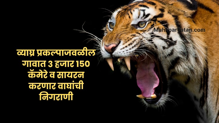 गावात वाघ शिरताच वाजणार वस्त्यांमध्ये सायरन