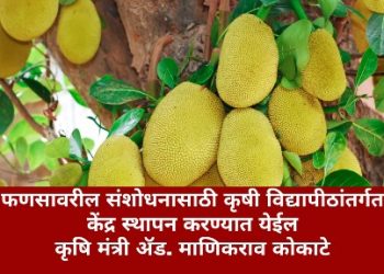 फणसावरील संशोधनासाठी कृषी विद्यापीठांतर्गत केंद्र स्थापन करण्यात येईल – कृषि मंत्री ॲड. माणिकराव कोकाटे