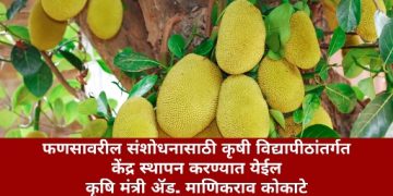 फणसावरील संशोधनासाठी कृषी विद्यापीठांतर्गत केंद्र स्थापन करण्यात येईल – कृषि मंत्री ॲड. माणिकराव कोकाटे